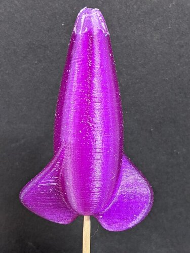 PXL_20210214_183400715.jpg