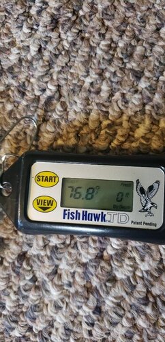 20210508_163319.jpg