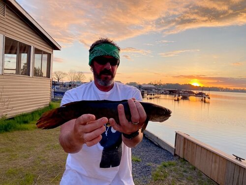 Bowfin.jpg