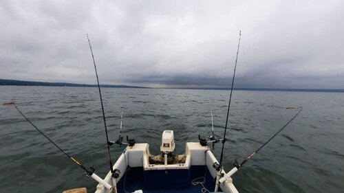 806531972_2135.jpg