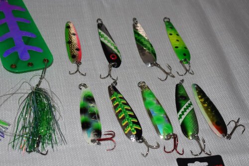 DSC_1174.JPG