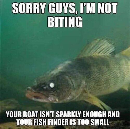 FB_IMG_1608582410842.jpeg
