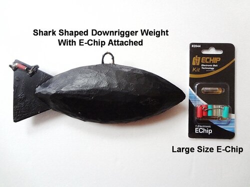 weightEchip1.jpg