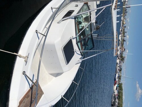 244816009_Boat5.thumb.jpg.8d729b85ecc96d4167c181d09bd80270.jpg