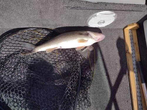 IMG_20210904_100604793_HDR.jpg