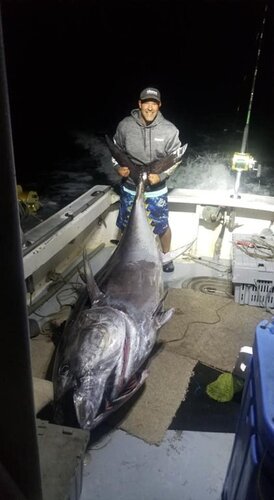 Tuna-1.jpg