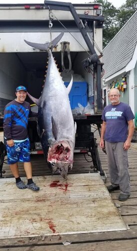 Tuna-2.jpg