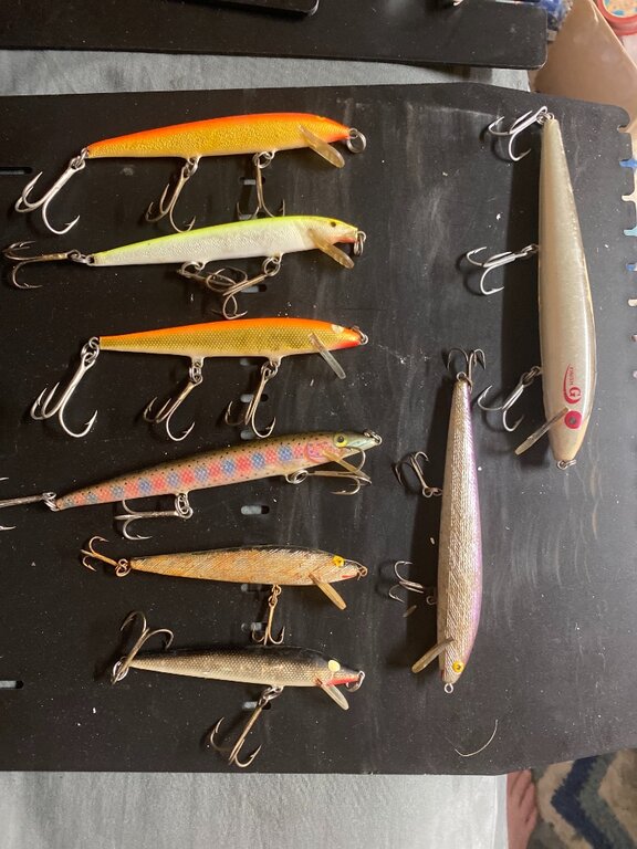 Floating minnows Classifieds Buy, Sell, Trade or Rent Lake