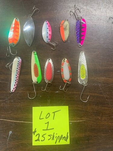 lot1.thumb.jpg.b6fc737c302b719772a4c9400f4de9b7.jpg