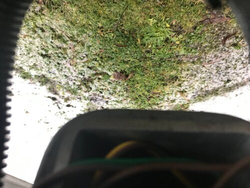 IMG_1290.JPG
