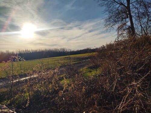 IMG_20211217_145553046_HDR.jpg