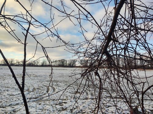 IMG_20211219_153013359_HDR.jpg