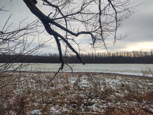 IMG_20211220_144609076_HDR.jpg