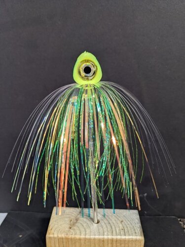 PXL_20220123_190827761.jpg