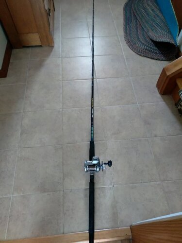 ROD AND REEL TWILLY.jpg