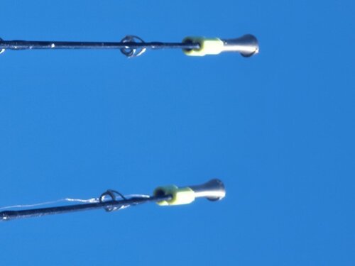 20220321_120731.jpg