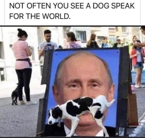 3D06A377-6571-4C77-8813-E3CC54D611FD.jpeg