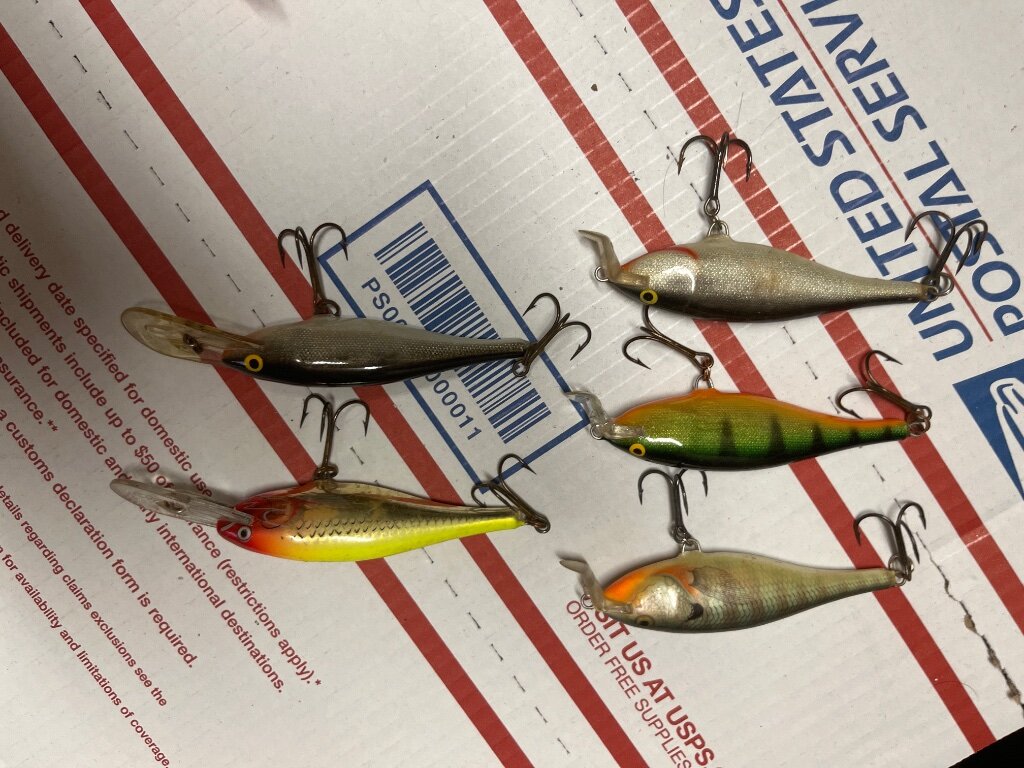 SHAD RAPS 4 Lots Classifieds Buy, Sell, Trade or Rent Lake