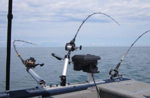 1655147070_Aog122013fishing004crop.thumb.jpg.c6b8217ca128e06a26c8dea989145164.jpg