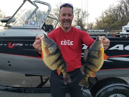 Mega Seneca Perch.jpg