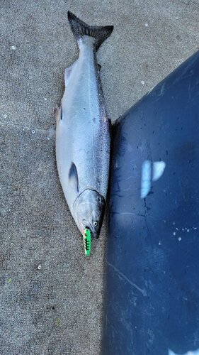 20220430_084552.jpg