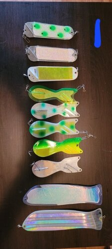 20220508_092815.jpg