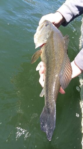 20220508_113817.jpg