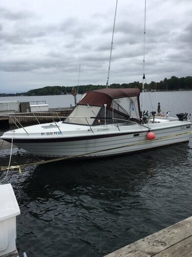 578617317_26ftPennYan1989262competitor.thumb.jpeg.c2141a8d33a04cb401295070633e8059.jpeg