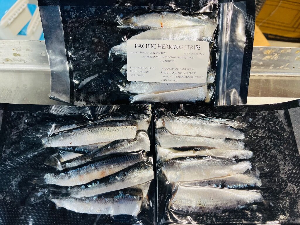 Green Label Pacific Herring 13 packs Classifieds Buy, Sell, Trade
