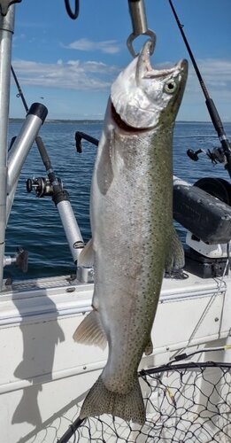 IMG_20220515_094340858_HDR.jpg