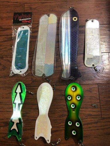 Spin Doctors and Paddles.jpg