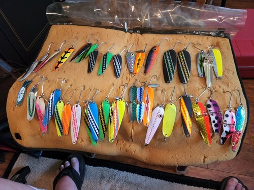 20220626_134417.jpg
