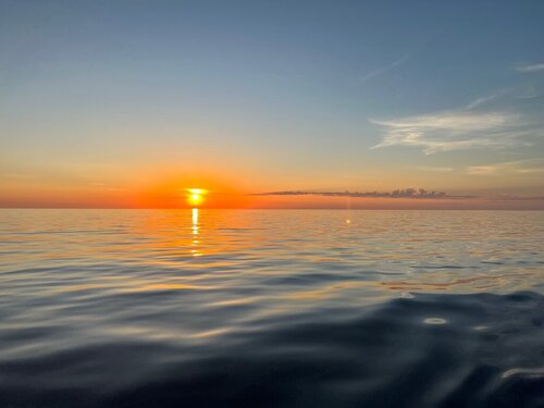 B3205FD5-2058-43D1-B091-C066DB1CBC6F.thumb.jpeg.307c1d1b1fafb04b4054bc65d6a6e0ef.jpeg