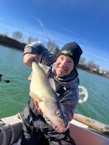 Walleye.jpg