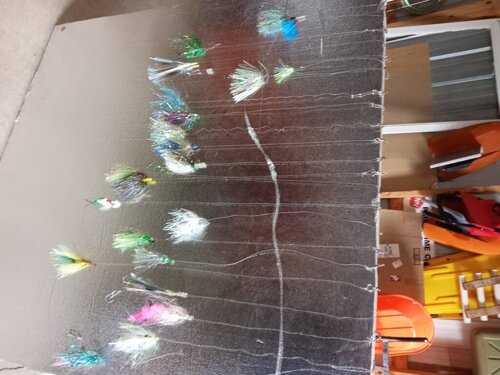 flies.jpg