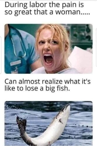 big fish.jpg