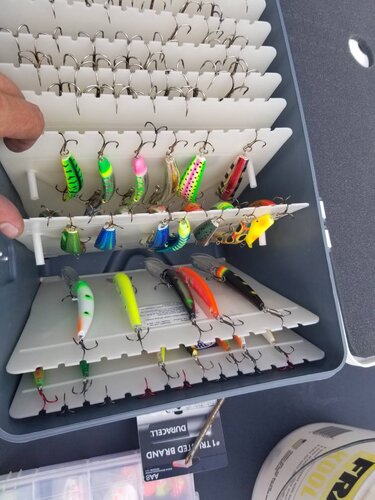 20220727_175309.thumb.jpg.47d0f57c6f296a84a73f52f997aac640.jpg