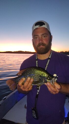 Crappie.jpg