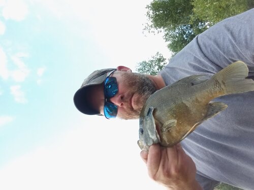 Panfish.jpg
