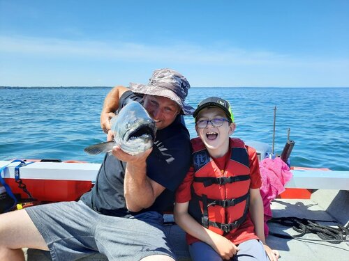 sharkattack.jpeg