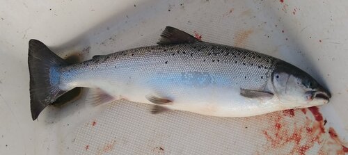 IMG_20220810_095438808.jpg