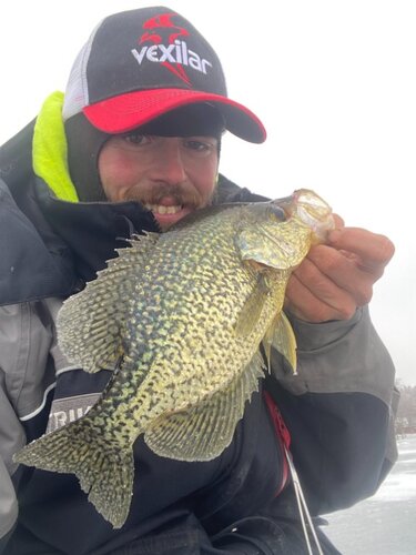 Dan Newstead - Crappie.jpeg