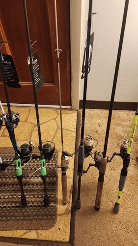 20230106_115139.jpg