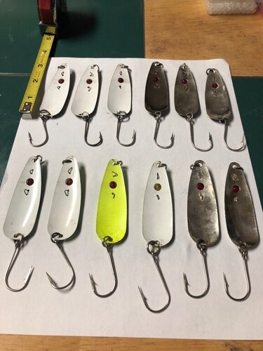 91F6EF58-DF9B-4686-8F42-A79687F74F50.jpeg