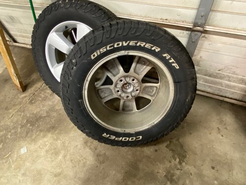 DB0B11C8-5C65-4345-A3CE-9C4AD210A9C3.jpeg