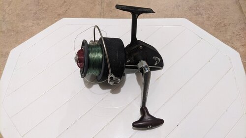 PXL_20230112_204248691.thumb.jpg.cf3d6c5116bf7be182fa0721e069d75e.jpg