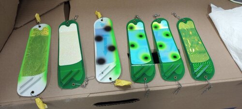 IMG_20230220_112000988.jpg