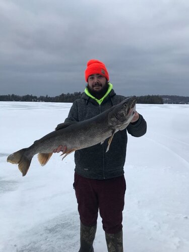 Jordan Gilbert - Trout.jpeg