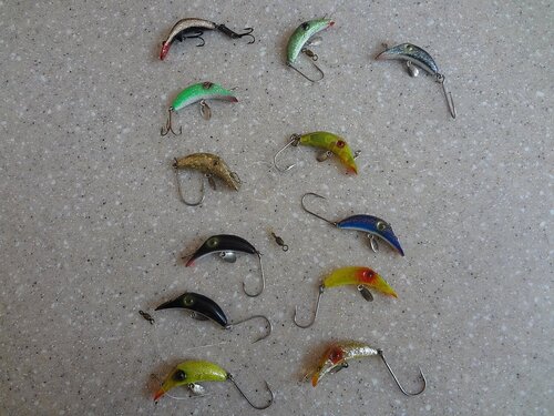 twinminnows.JPG