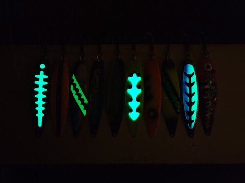 20230221_230621.jpg